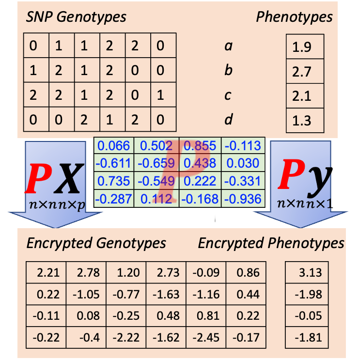 Public and Confidential Data