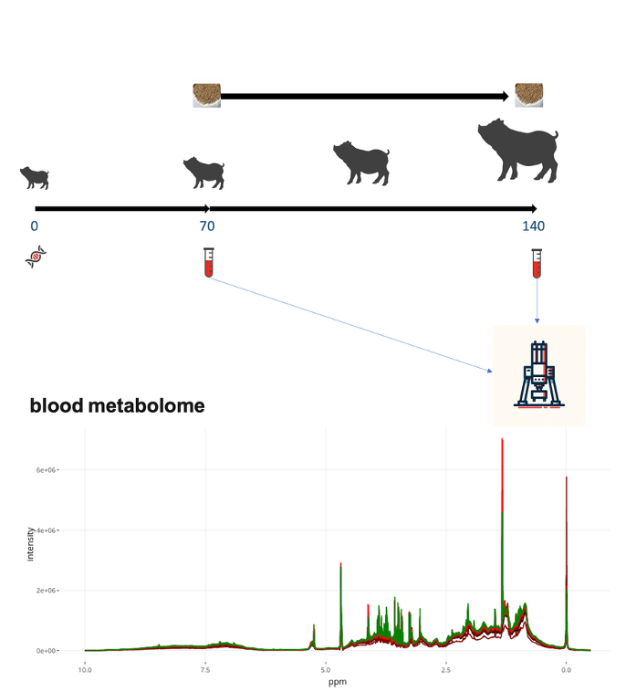 Molecular Phenotypes in G2P