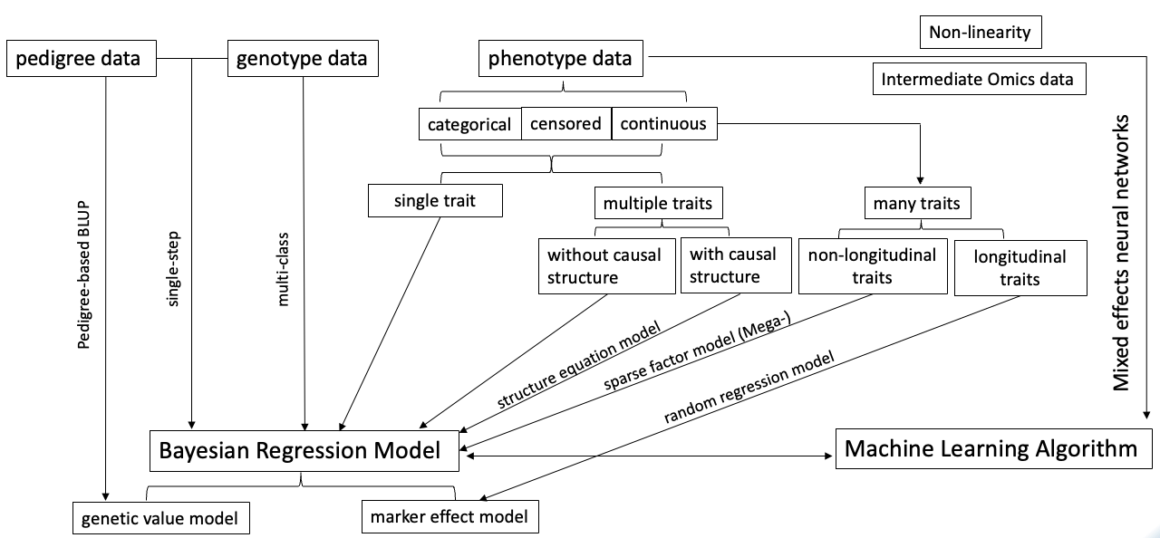 Statistical Methods for G2P